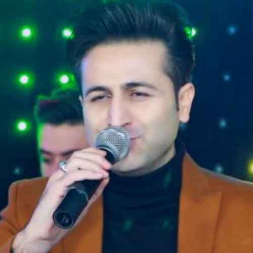 مرتضی جعفرزاده ای دل غافل جوونیم رفت بی هوا